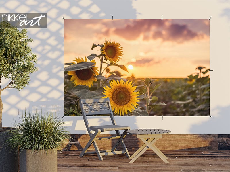 Tuinposter Zonnebloem op het veld