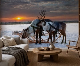 Fotobehang Arctica