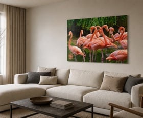 Plexiglas schilderij Flamingo