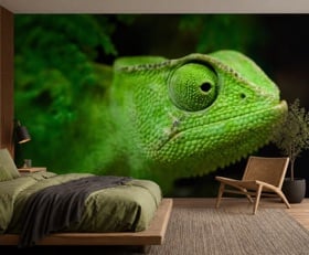 Fotobehang Kameleon