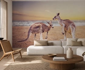 Fotobehang Kangoeroe