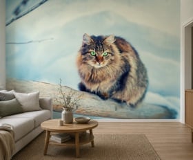 Fotobehang Kat