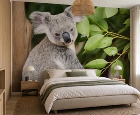 Fotobehang Koala