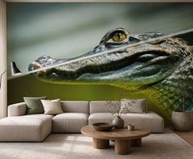 Fotobehang Krokodil