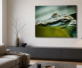 Plexiglas schilderij Krokodil