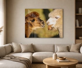 Plexiglas schilderij Lama