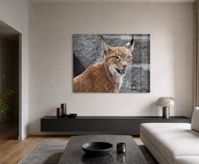 Plexiglas schilderij Lynx