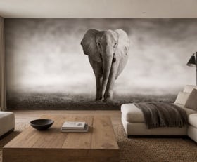 Fotobehang Olifant