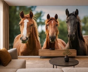 Fotobehang Paard