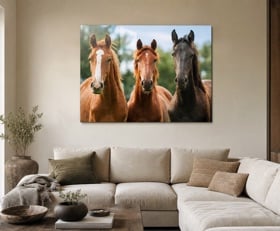 Plexiglas schilderij Paard
