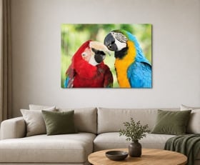 Plexiglas schilderij Papegaai