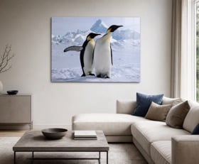 Plexiglas schilderij Pinguïn