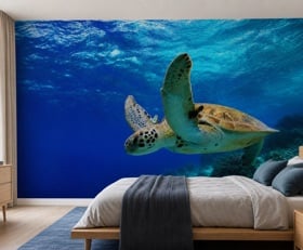 Fotobehang Schildpad