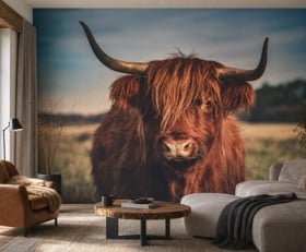Fotobehang Schotse hooglander