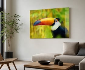 Plexiglas schilderij Toekan