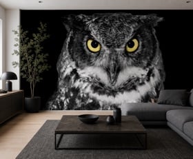 Fotobehang Uil