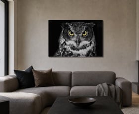 Plexiglas schilderij Uil