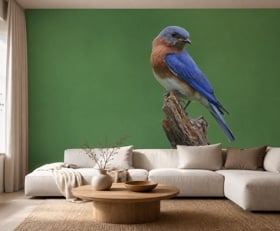 Fotobehang Vogel