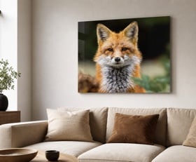 Plexiglas schilderij Vos