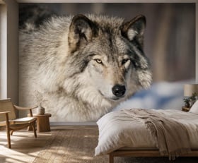 Fotobehang Wolf