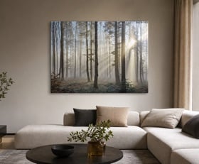 Plexiglas schilderij Woonkamer