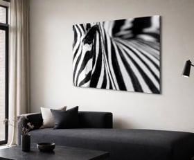 Plexiglas schilderij Zebra