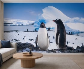 Fotobehang Zuidpoolgebied