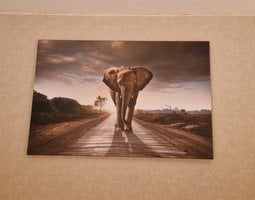 Canvas schilderij Wandelende olifant op savanne