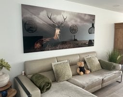 Plexiglas schilderij Hert in zonnestralen door bos