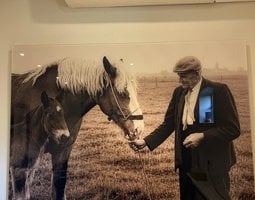 Plexiglas schilderij Man met paard en veulen