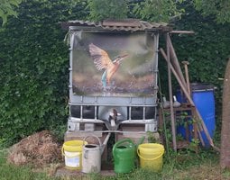 Tuinposter IJsvogel duikt op uit water