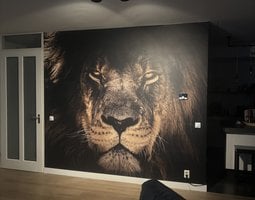 Fotobehang Leeuwenportret met indringende blik