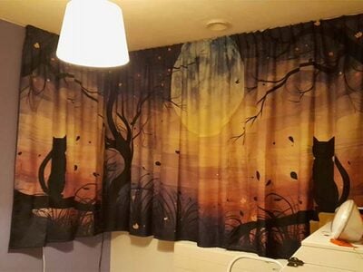 Mystieke Katten bij Maanlicht