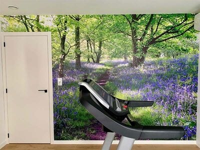 Wandelpad door het bos met bloeiende hyacinten
